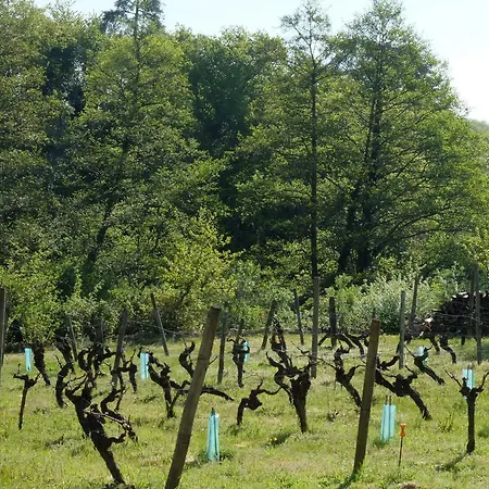 La Croix Tout Blanc * Savennieres