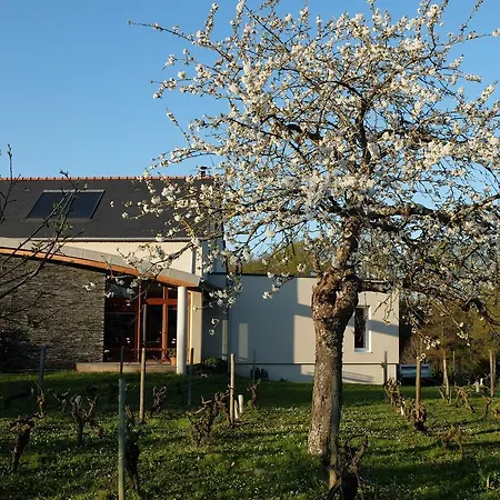 La Croix Tout Blanc * Savennieres